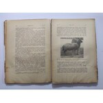 Prawocheński Roman prof.: Hodowla owiec. Tom I/II, 1937-39 r.