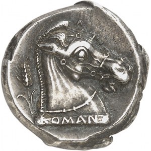 République romaine, Anonymes. Didrachme ND (280-276 av. J.-C.), Métaponte ?