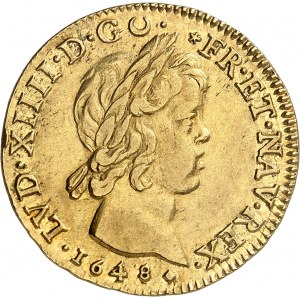 Louis XIV (1643-1715). Double louis à la mèche courte 1648, D, Lyon.