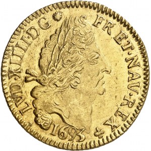 Louis XIV (1643-1715). Double louis d’or aux quatre L, réformation 1693, S, Reims.