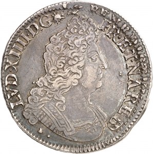Louis XIV (1643-1715). Écu de Béarn aux insignes, réformation 1701, Pau.