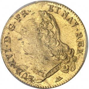 Louis XVI (1774-1792). Double louis d’or à la tête nue 1786, 1er semestre, N, Montpellier.