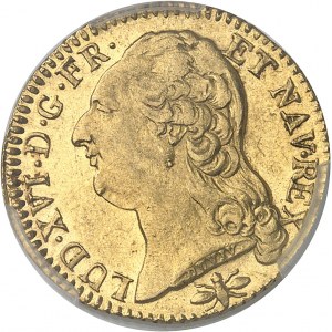 Louis XVI (1774-1792). Louis d’or à la tête nue 1789/7, 1er semestre, D, Lyon.