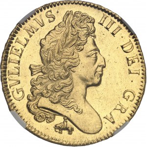 Guillaume III (1694-1702). 5 guinées à l’éléphant et au château 1699, Londres.