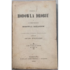 Pribyl/Goedde Hodowla Drobiu I Bażantów 1901