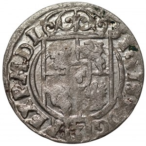 Zygmunt III Waza (1587-1632) - Półtorak 1623 - Bydgoszcz - Sas w tarczy ozdobnej - Kolekcja Górecki