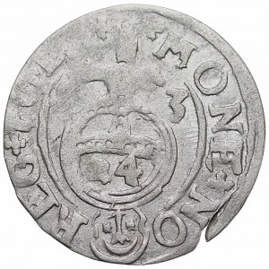 Zygmunt III Waza (1587-1632) - Półtorak 1623 - Bydgoszcz - Sas w tarczy ozdobnej - Kolekcja Górecki