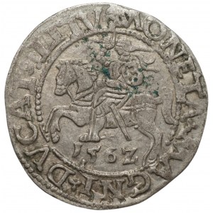 Zygmunt II August (1548-1572) - Półgrosz 1562 Wilno - LI/LITV