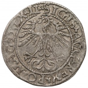 Zygmunt II August (1548-1572) - Półgrosz 1562 Wilno - LI/LITV