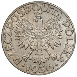 II RP - 5 złotych 1936 Żaglowiec