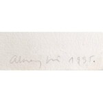 Aknay János (1949-): Angyal érkezik. Szitanyomat, merített papír, jelzett, számozott (28/50), lapméret: 56,5×41,5 cm ...