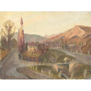Hranitzky Ilona (1889-?): Motoros. Olaj, vászon, jelzett, 50x68 cm