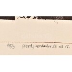 ef Zámbó István (1950-): Nyílt levél (1981/83). Litográfia, színes ceruza, papír. Jelezve balra lent. Nyílt levél ...