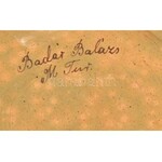 Badár Balázs (1855-1938): Fali tál, mázas kerámia, kézzel festett, mázhibákkal, kopásnyomokkal, jelzett, m...