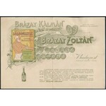 1904 Brázay Kálmán és Brázay Zoltán, Brázay-féle Sósborszesz számla, díszesen illusztrált, rézben színes hátoldallal...