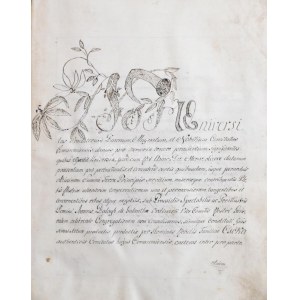 1808 A komárom vármegyei aranyosi és bogyai Csóka nemesi família bizonyságlevele...