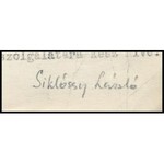 1936 zilahi Szőcs Kamilla (1886-1911) nagykállói elmegyógyintézet igazgató főorvosának saját kézzel írt levele...