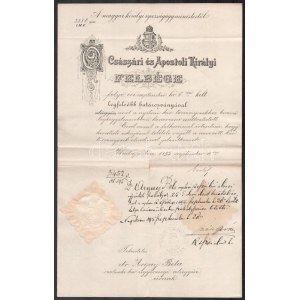 1895 Erdély Sándor (1839-1922) a Bánffy-kormány igazságügy-miniszterének (1895-1899) saját kezű aláírása nyitrai kir...