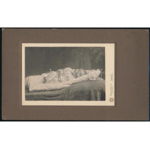 cca 1909 Munkács, Isocker István fényképész műtermében készült, keményhátú vintage fotó, 16,8x26...