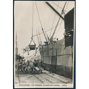 cca 1918 Katonák marhát rakodnak be egy hajóba a konstantinápolyi kikötőben, német nyelvű felirattal, 'K.u.K...