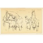 Fillis, James: Principes de dressage et d'equitation Paris, 1890. Flammarion. 375 p. + 35 t Korabei...
