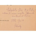Jagdbuch Holics 1879-1904. Wien, 1904. K. u. K. Militär-Reitlehrerinstitut. (4)382p.+10t. (fényképek)+1 kihajt. térk...