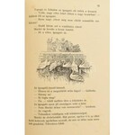 Sebők Zsigmond: Mackó úr szárazon és vízen. Mühlbekck Károly rajzaival. Bp.,[1926],Singer és Wolfner,(Hungária-ny.)...