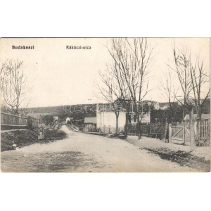 1915 Budakeszi, Rákóczi utca. Schneider Ferenc kiadása