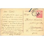 1907 Ercsi, utca, Déri János és fia üzlete és saját kiadása (EK)