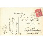 1909 Fonyód-fürdő, Fő út, lovaskocsi, Hullám szálloda, Tényi Lajos üzlete és saját kiadása (EK...