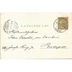 1903 Gyula, Erkel Ferencz tér, templom, kút vízhordó kocsik, szobrok...