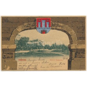 1902 Sopron, Deák tér. Szecessziós litho címerrel, Blum N. kiadása / Art Nouveau