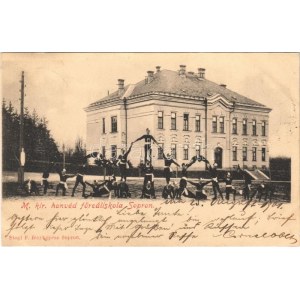 1901 Sopron, M. kir. honvéd főreáliskola, kadétok akrobatikus mutatványa. Stagl F...