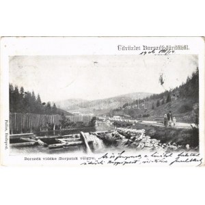 1906 Borszék-fürdő, Baia Borsec; Borpatak völgye / Valea Borcutului (EK)