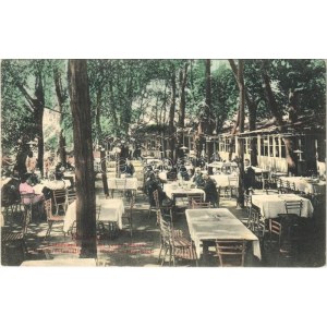 1906 Karánsebes, Caransebes; Lichtneckert szállodai vendéglőkert. H. Rosenfeld ...
