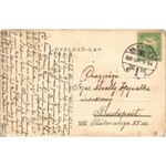 1908 Nagyszeben, Hermannstadt, Sibiu; Hallerrét, Emil Kissling villája / Hallerwiese 28 / villa (EK...