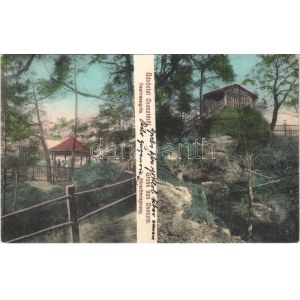 1910 Cseszte, Castá; Szarvasugrás. Steiner Miksa kiadása 426. / Hirschensprung /