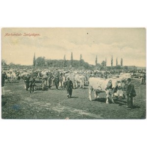 1913 Ipolyság, Sahy; marhavásár, piac. Polgár J. kiadása 57. W.L. (?) / cattle market