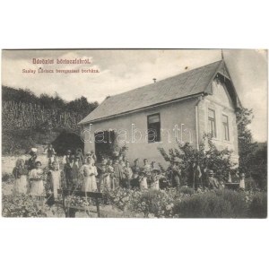 1911 Beregszász, Berehove; Lőrinclak, Szalay Lőrinc beregszászi borháza, szőlőskert, szőlészet...
