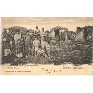 1904 Munkács, Mukacheve, Mukacevo; Cigány tábor. Bertsik Emil kiadása / gypsy camp (kis szakadás / small tear...