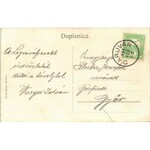 1911 Daruvar, utca, Josip Epstein, Moritz és Deutsch, Julijo Lausch i Drug üzlete. Josip Epstein kiadása / street...