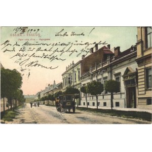 1909 Eszék, Essegg, Osijek; Jäger-ova ulica / Jägergasse / Vadász utca, Rajal szálloda lovashintója. Selzer i Rank No...