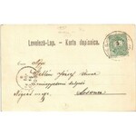 1899 (Vorläufer) Gyurgyenovác, Susine-Gjurgjenovac, Durdenovac; Marchetti-Lamarche (előtte Jozef Pfeiffer) fűrésztelep ...