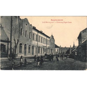 1910 Nagybecskerek, Zrenjanin, Veliki Beckerek; Jenő főherceg utca, üzlet. W.L. 1006. Schneider János kiadása / street...