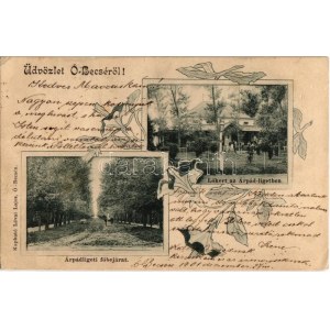 1901 Óbecse, Stari Becej; Árpád-ligeti főbejárat, Fő utca, protestáns templom, Lőkert / park, shooting hall, church...