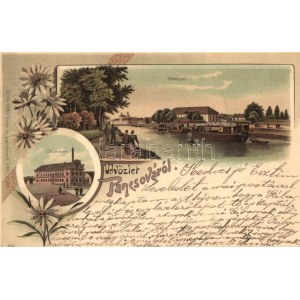 1899 Pancsova, Pancevo; Temespart, Gőzmalom. Kohn Samu kiadása / river bank, steam mill. Floral, Art Nouveau...