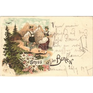 1897 (Vorläufer) Gruss aus den Bergen (Tirol). H. Meinz Art Nouveau, floral, litho + ...