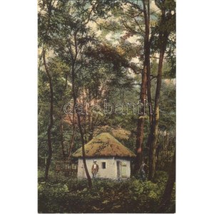 Hollabrunn, Oberhollabrunn; Waldpartie, Antonihütte / forest hut