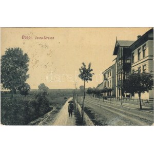 1909 Doboj, Usora Strasse / street. W.L. Bp. 4917. Joh. Streitz (EK)