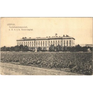 Lipník nad Becvou, Leipnik; Taubstummenanstalt z. Z. k.u.k. Reservespital / Deaf-mute institution, military hospital ...